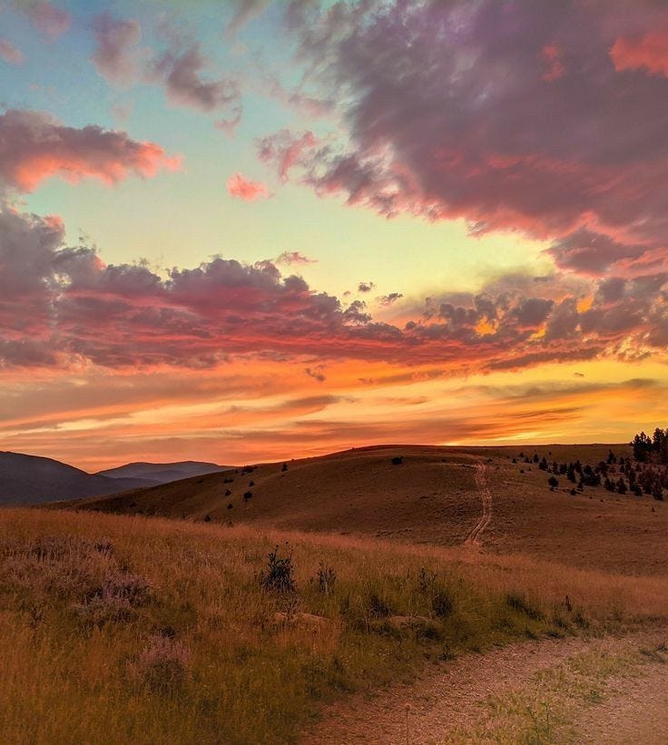 Somewhere Up in the Sky by Renee Geving