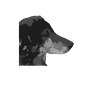 Radley Balko's avatar