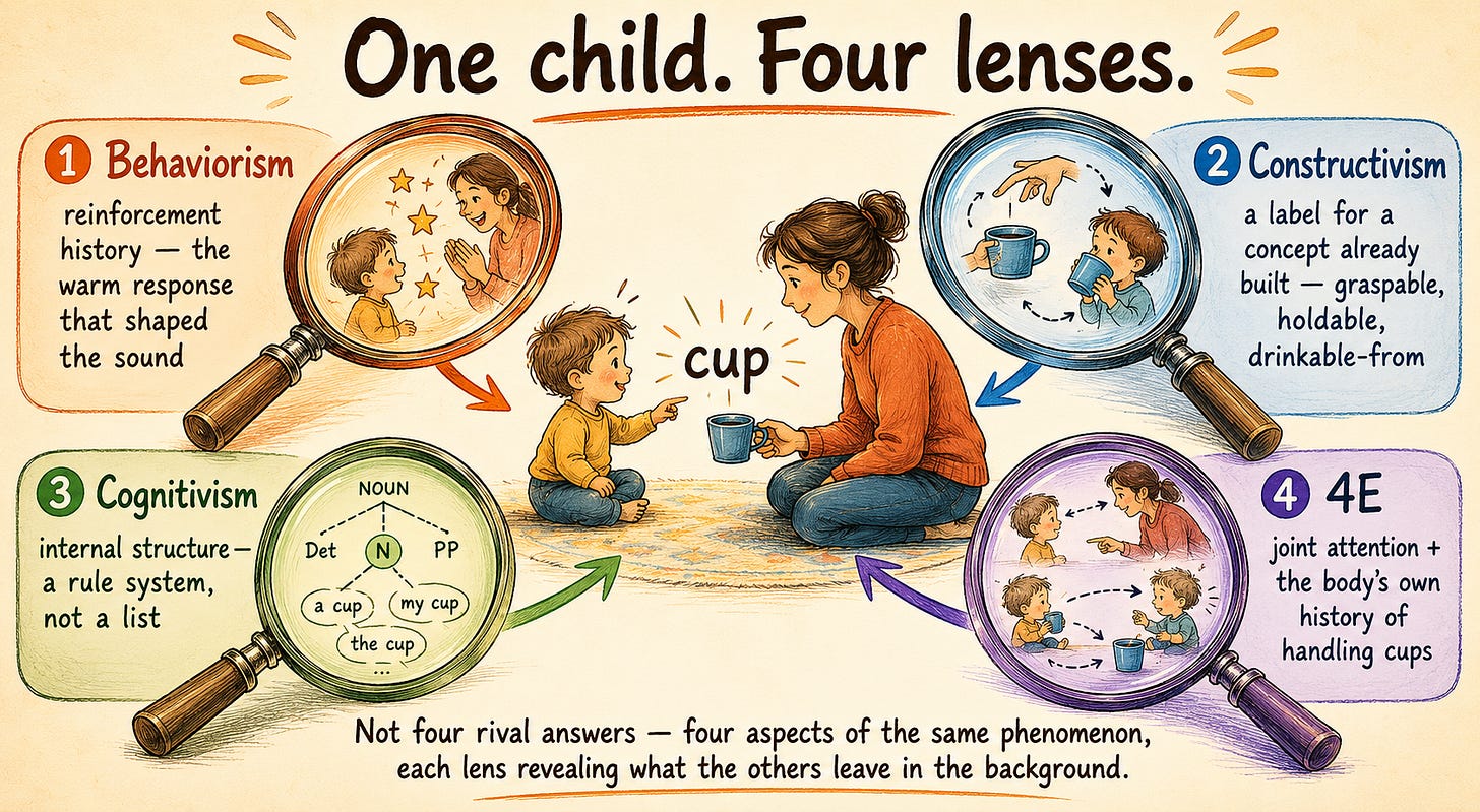 A central scene of a toddler and adult with a cup and the word "cup," surrounded by four colored magnifying lenses. Behaviorism: "reinforcement history." Constructivism: "a label for a concept already built." Cognitivism: "internal structure — a rule system, not a list." 4E: "joint attention plus the body's own history of handling cups."