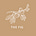 The Fig Real Estate's avatar