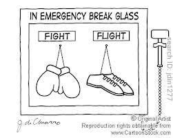 Fight or flight, Travel quotes, Best places in europe