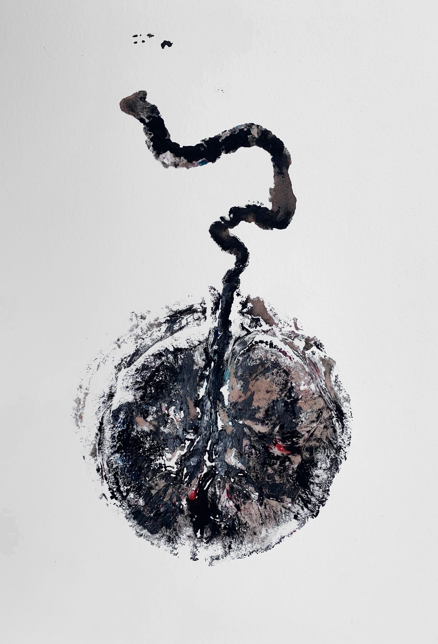 Issue 39: Untitled, IVF placenta print | by Anonymous Featured Artist