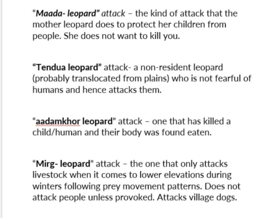 AGAZnRpayZr22HFEVu_nkm2Q-qMbCsbtwUG5P9jnycKM14zTa3iZE-rBeUGEEGCBfEVvmVhL1Xwl7xYGfWx9Y6QA_5u_DXnnYAJ40PSCILMQg5E1W1BnKywE9qgtVGK6if9RrfmPfmKroBk0f4orcsAlg98Bhx-x1dM9nG0fqWiDwnorUIqAVgaitkb2xmVR94M_oqAD9nFrGi4ZAdXgwtY6ZNcmH3div0SEfJCZ6dMPQVPQc58LgcjzJkZ3zsJfhkLpqB3OASYGX7OMtV44ptMiQ1CCC3qsC86jGR1pK3k8Vho88i_Mfl2-rP4l6UfP0K7PnmbjRFMYojVxds7I0yNbpGe_ostYok854sm3D-ui0uOgAfURhZSXNQDAfjenLFcXxnbFvlUmbCcf4Vm6UsmKs0nGmbqV9J9fAIMo6nNwFjOiFmqvp_s8uZIL8pCjr9cpIJuv_AA_P_XyD5zYqUiQ9aJeshMT7G6WHebzNtGyv85yOkytk4Q7n89QYPf59Z-bx-ruFzinbT5oShSHtk2Yjw85QRnb5I2eWxlIyzpiEQLDS56ZDPlFjoKcELDwyCW53idU2Hau6ozGcwpCCaL31_jJ1wxOOaAHYlojWQ8rOaXyU07BE0omUUHLzO66YmpuydFzRtK5Sx5tLO7cMkSsTypfFcLZmso_Nu2Rj-2C9Xtbf90KpfxNAu75-wM96syZ5BYX0v4dEnVx80GWVwF98cAZA-1dkz0We1qxaO8Bonau2Xc5NvHGeezGglpW2kSJdURFHIZq9riMTq8Jp921pjK5aMPD-ldsqHjKYFKM9GH1NahcUMLqVS3y9aC9sWdQ5qqxXlaYXr69kdcY0gV5AZkpES6FlPYn-0Vfx5wOyN375qdA2GyAVObdH4GnWmor58IJFLBzMXWVmDUmAelTlXHxOZJ5uVKrnvl5vDHabWPQYvuaUsY_Q6InNqMGndPx5N0QDnkVTw3GfBJyfathaoHB8W9qucA84feXmuzeHxxmZlraunnuPZKqNayOjVTPaFcG47gfPDUYXXBlVHJUA7P7kadYTsZT5A9LcCbWgbvECyV8zziKkDQb196JOR6OwwQo5o1LW0pOWy8kH5LQdST8smyoutwc9sVEel45iqG6H98bJdqhUUouDE1E=s0-l75-ft (1080×881) AGAZnRpayZr22HFEVu_nkm2Q-qMbCsbtwUG5P9jnycKM14zTa3iZE-rBeUGEEGCBfEVvmVhL1Xwl7xYGfWx9Y6QA_5u_DXnnYAJ40PSCILMQg5E1W1BnKywE9qgtVGK6if9RrfmPfmKroBk0f4orcsAlg98Bhx-x1dM9nG0fqWiDwnorUIqAVgaitkb2xmVR94M_oqAD9nFrGi4ZAdXgwtY6ZNcmH3div0SEfJCZ6dMPQVPQc58LgcjzJkZ3zsJfhkLpqB3OASYGX7OMtV44ptMiQ1CCC3qsC86jGR1pK3k8Vho88i_Mfl2-rP4l6UfP0K7PnmbjRFMYojVxds7I0yNbpGe_ostYok854sm3D-ui0uOgAfURhZSXNQDAfjenLFcXxnbFvlUmbCcf4Vm6UsmKs0nGmbqV9J9fAIMo6nNwFjOiFmqvp_s8uZIL8pCjr9cpIJuv_AA_P_XyD5zYqUiQ9aJeshMT7G6WHebzNtGyv85yOkytk4Q7n89QYPf59Z-bx-ruFzinbT5oShSHtk2Yjw85QRnb5I2eWxlIyzpiEQLDS56ZDPlFjoKcELDwyCW53idU2Hau6ozGcwpCCaL31_jJ1wxOOaAHYlojWQ8rOaXyU07BE0omUUHLzO66YmpuydFzRtK5Sx5tLO7cMkSsTypfFcLZmso_Nu2Rj-2C9Xtbf90KpfxNAu75-wM96syZ5BYX0v4dEnVx80GWVwF98cAZA-1dkz0We1qxaO8Bonau2Xc5NvHGeezGglpW2kSJdURFHIZq9riMTq8Jp921pjK5aMPD-ldsqHjKYFKM9GH1NahcUMLqVS3y9aC9sWdQ5qqxXlaYXr69kdcY0gV5AZkpES6FlPYn-0Vfx5wOyN375qdA2GyAVObdH4GnWmor58IJFLBzMXWVmDUmAelTlXHxOZJ5uVKrnvl5vDHabWPQYvuaUsY_Q6InNqMGndPx5N0QDnkVTw3GfBJyfathaoHB8W9qucA84feXmuzeHxxmZlraunnuPZKqNayOjVTPaFcG47gfPDUYXXBlVHJUA7P7kadYTsZT5A9LcCbWgbvECyV8zziKkDQb196JOR6OwwQo5o1LW0pOWy8kH5LQdST8smyoutwc9sVEel45iqG6H98bJdqhUUouDE1E=s0-l75-ft (1080×881)