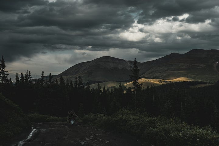 A gallery collage of eight photos from a cross-country road trip. The images show a dark-colored Ford Escape in various scenic American landscapes, including mountains, open plains at sunset, and on the road. The gallery also includes details from the journey and a view from inside the car.