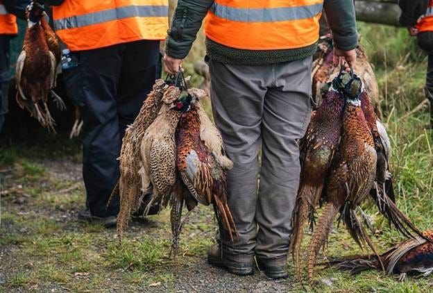 A group of men holding pheasants

AI-generated content may be incorrect.