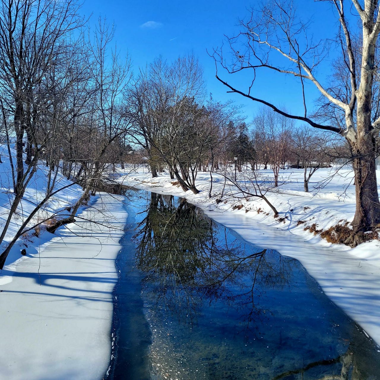 a journal of joys and laments