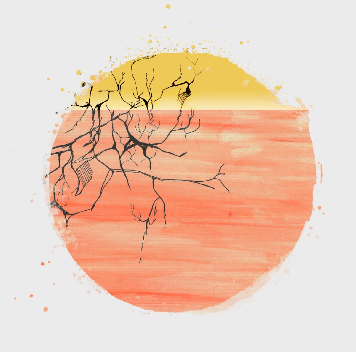 Substack profile picture for @terrestrial