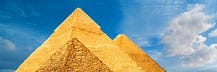 The Pharaoh Brief