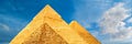 The Pharaoh Brief