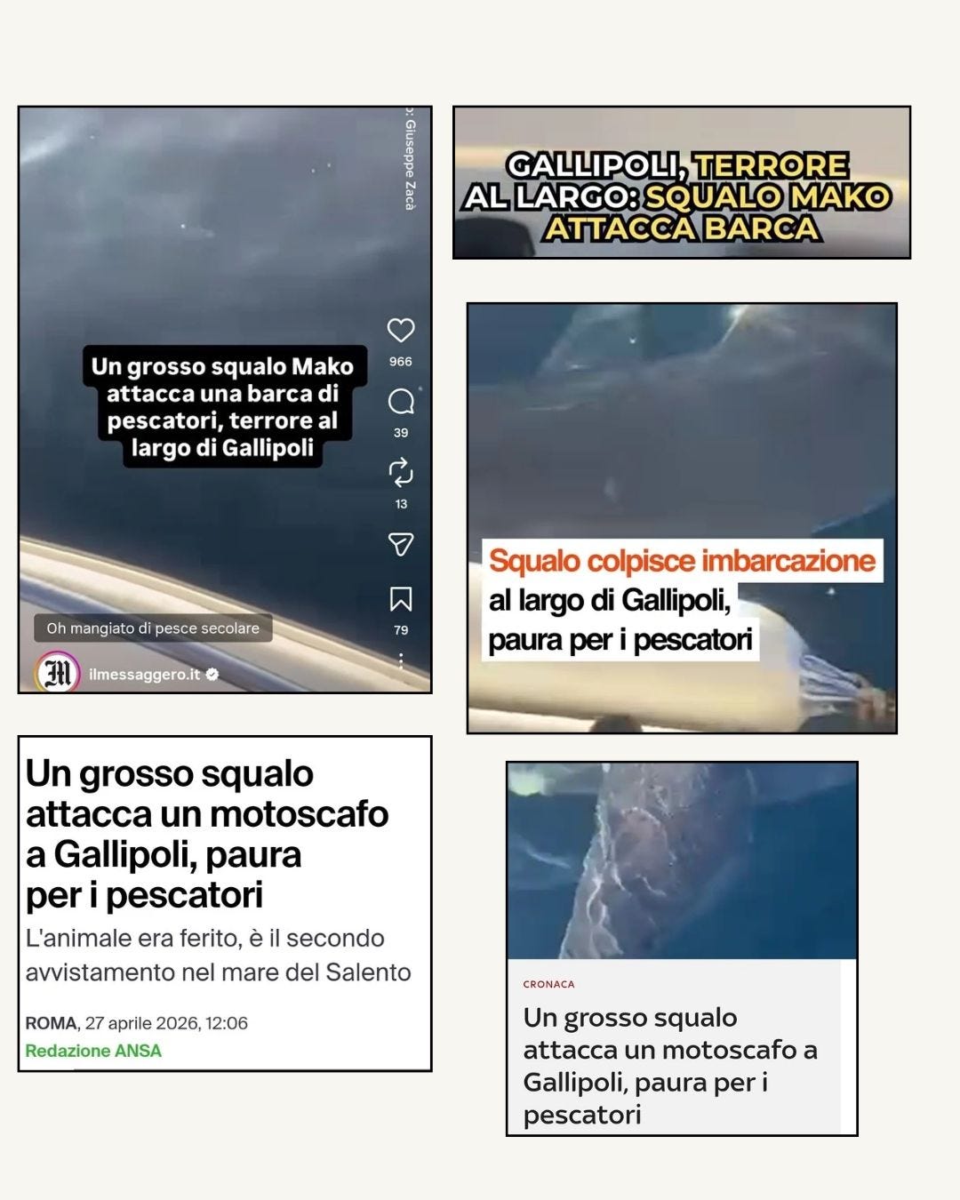 Potrebbe essere un'immagine raffigurante mappa e il seguente testo "GALLIPOLI, GALLIPOLI,TERRORE TERRORE AL LARGO: SQUALO MAKO ATTACCA BARCA 966 Un grosso squalo Mako attacca una barca di pescatori, terrore al largo di Gallipoli 39 13 Oh mangiatodi pesce secolare ធ 79 ilmessaggero.it Squalo colpisce imbarcazione al largo di Gallipoli, paura per pescatori Un grosso squalo attacca un motoscafo a Gallipoli, paura per pescatori L'animale era ferito, è secondo avvistamento nel mare del Salento ROMA, aprile 2026, 12:06 Redazione ANSA CRONACA Un grosso squalo attacca un motoscafo a Gallipoli, paura per i pescatori"