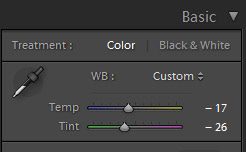 How to Fix Skin Tones in Lightroom