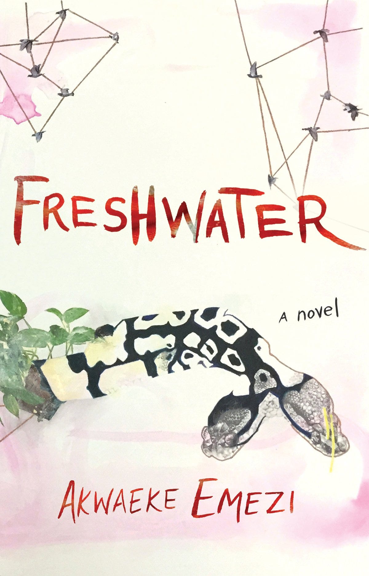 Freshwater : Emezi, Akwaeke: Amazon.com.au: Books