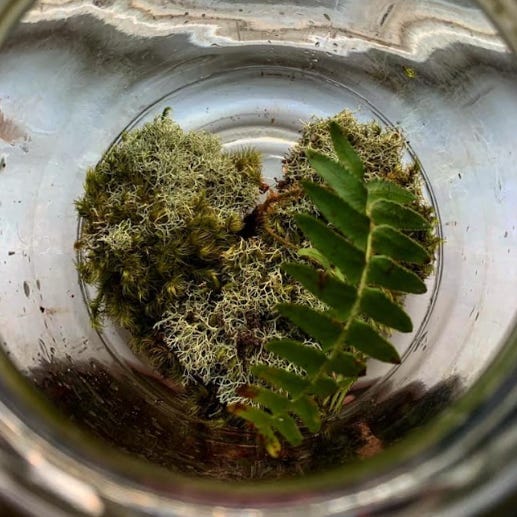 The Synergy Chronicles