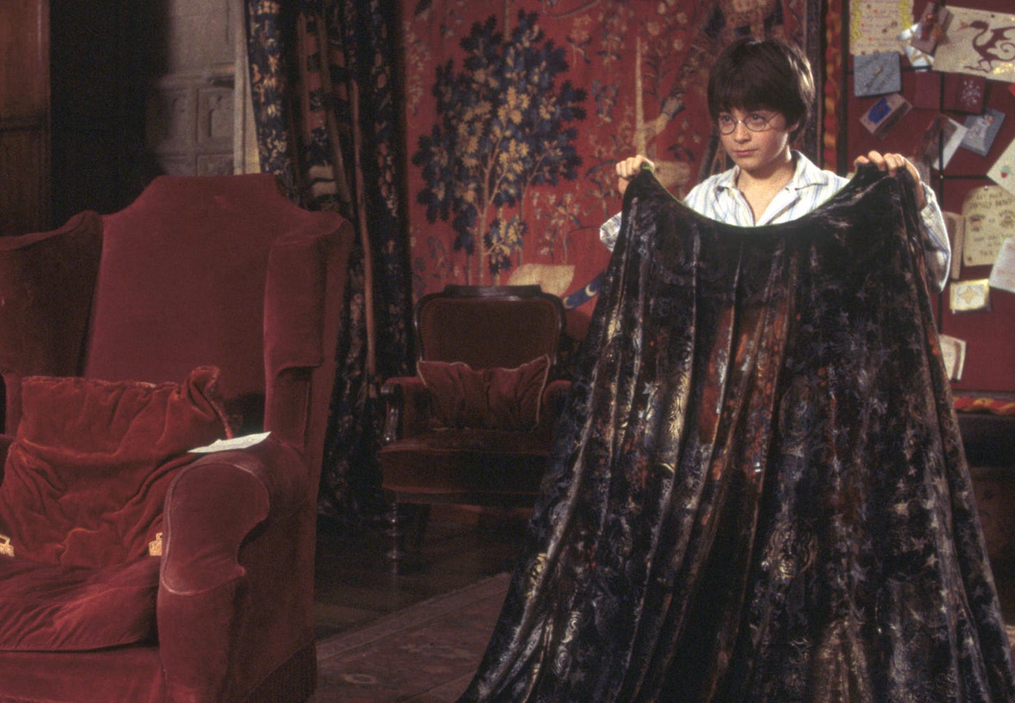 The Invisibility Cloak | Official Harry Potter Encyclopedia