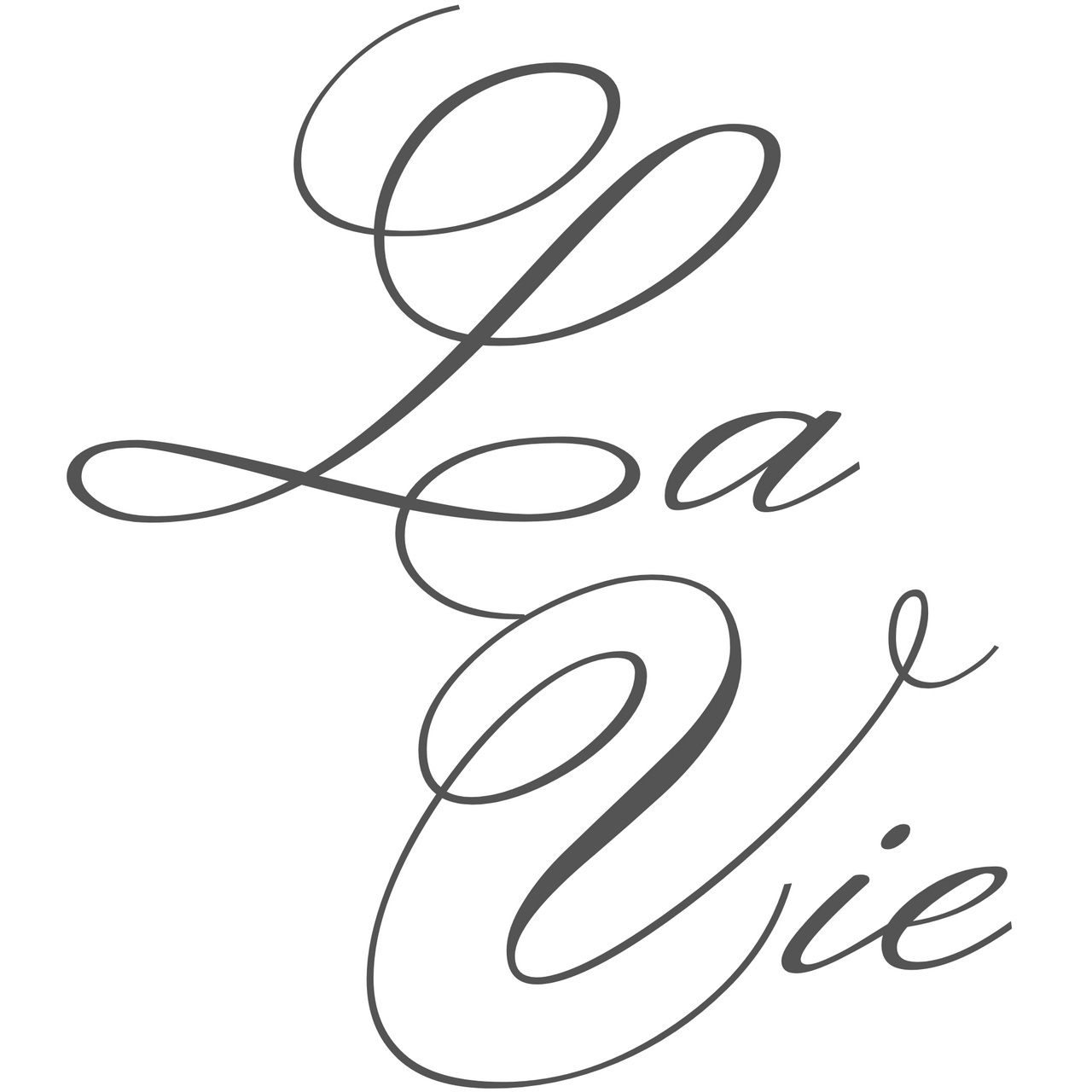 La Vie Journal logo