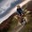 Midlife Cyclist's avatar