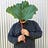 Leaf Treader