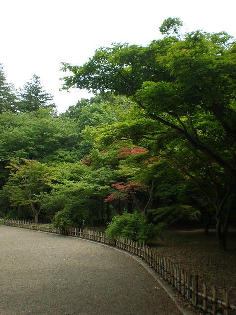 Jindai Botanical Gardens Jindai Botanical Gardens