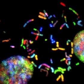 What We Need To Know About Gene Therapy and Genetic Modification