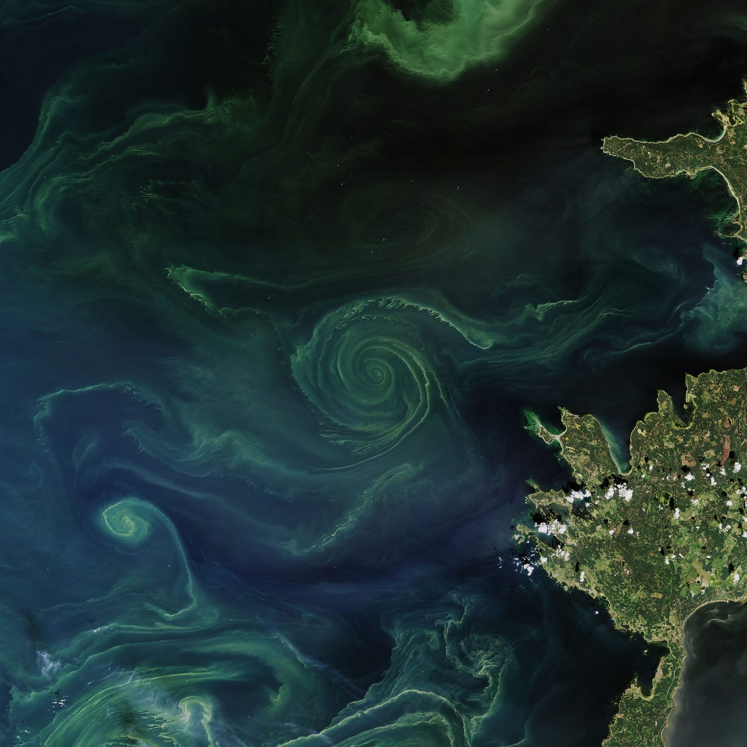 Algal Bloom From Space