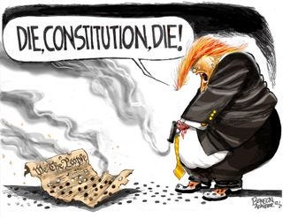 7 scathing cartoons about Trump's call to suspend the Constitution | The  Week