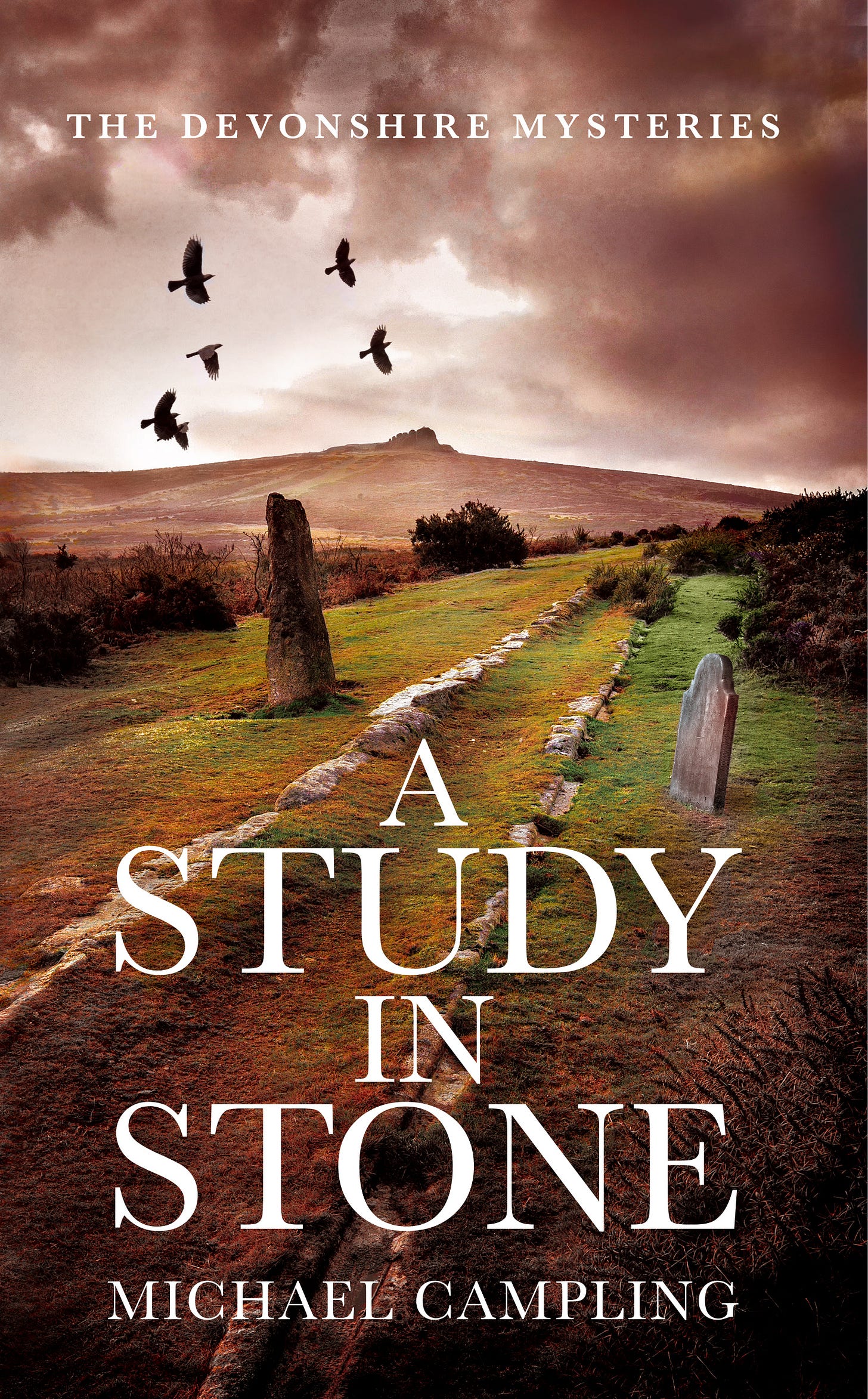 Book cover of A Study in Stone - 2nd edition