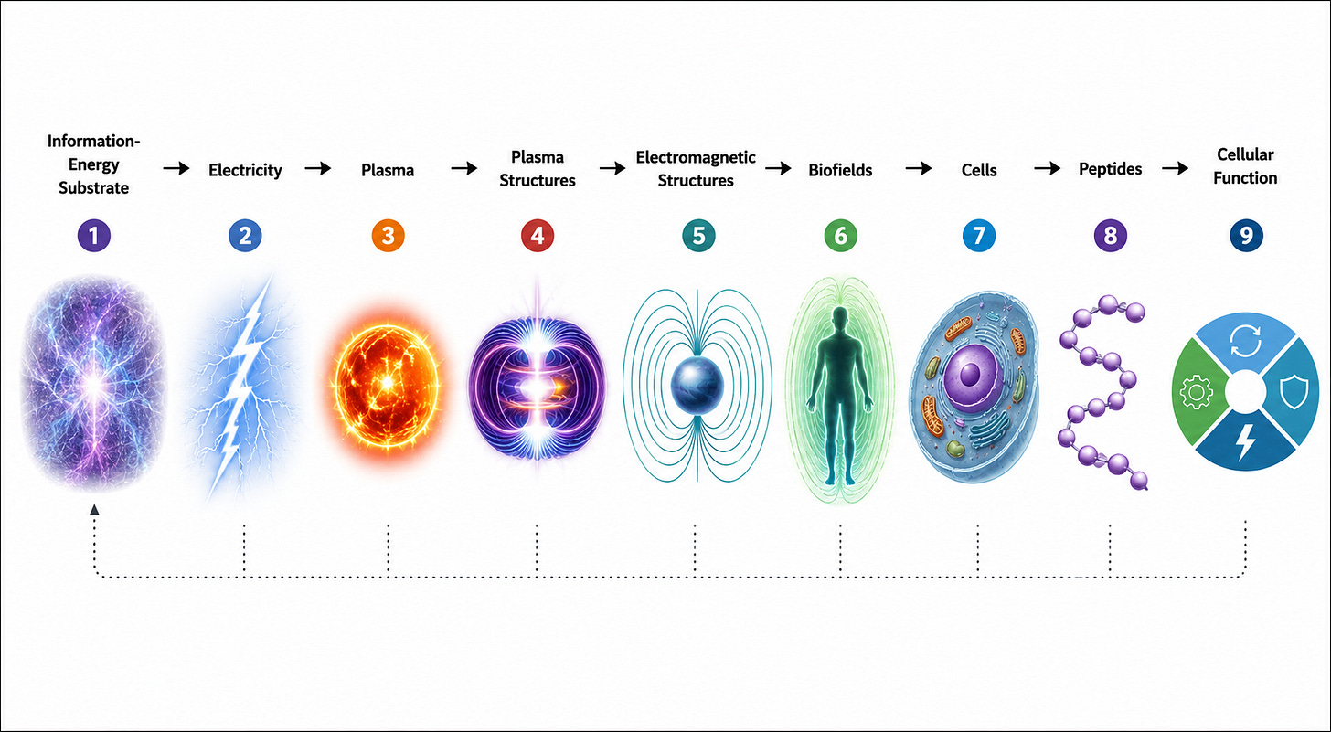 Peptides Explained: Cell Signaling Through the Lens of Predictive Evolution Theory