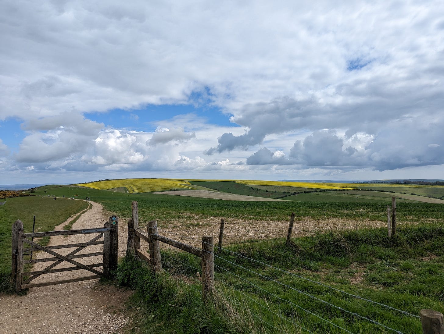 The landscape of the South Downs from a past walk