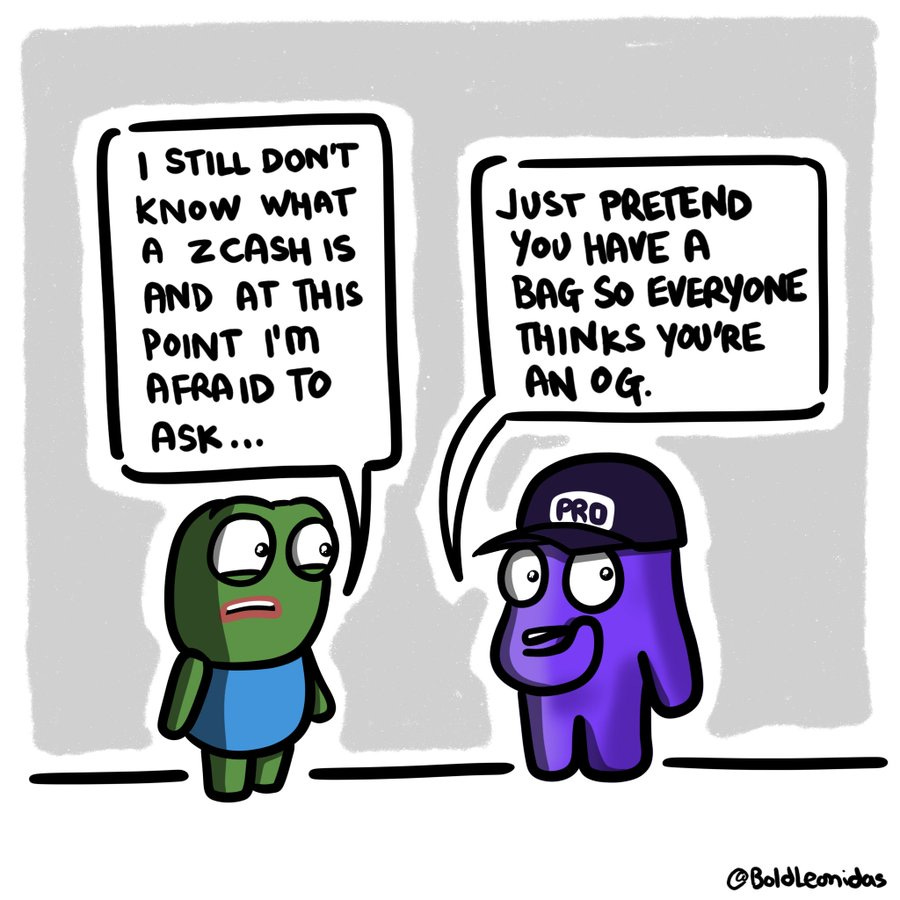 A green character with large eyes wearing a blue outfit stands next to a purple character with large eyes wearing a black cap labeled "PRO." Both characters have speech bubbles; the green character says, "I STILL DON’T KNOW WHAT A ZCASH IS AND AT THIS POINT I’M AFRAID TO ASK...," and the purple character says, "JUST PRETEND YOU HAVE A BAG SO EVERYONE THINKS YOU’RE AN OG." A watermark "@Boldleonidas" is visible.