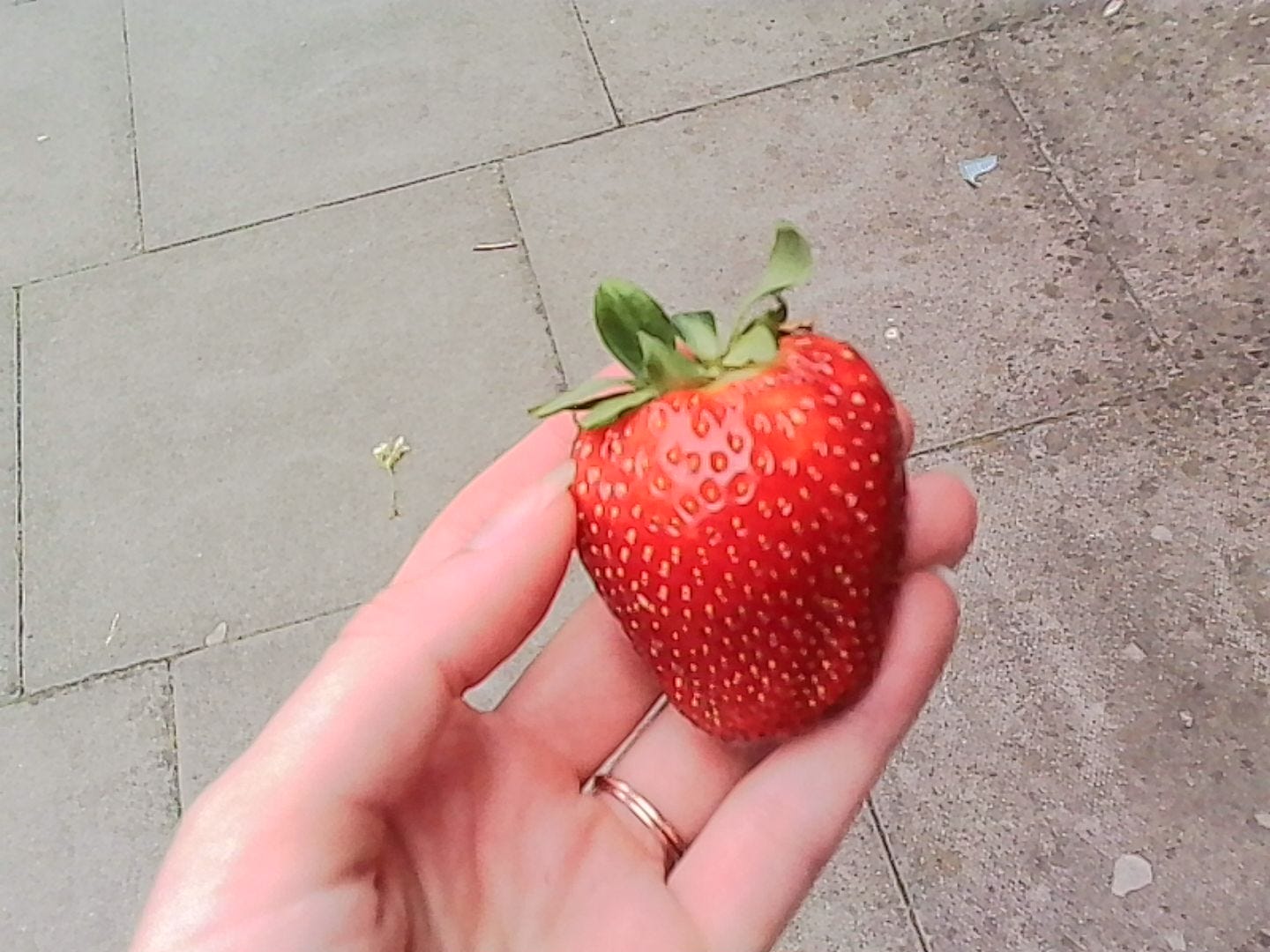 an outstretched left hand holds forth a huge strawberry, glossy and nearly over-ripe, seeds producing deep dimples in the shockingly red flesh. In the background is a pavement made of oblong slabs. The hand wears rings on the fourth fingers and sports reasonably long nails, unpolished. The photo quality is grainy, but of the digital rather than film variety an outstretched left hand holds forth a huge strawberry, glossy and nearly over-ripe, seeds producing deep dimples in the shockingly red flesh. In the background is a pavement made of oblong slabs. The hand wears rings on the fourth fingers and sports reasonably long nails, unpolished. The photo quality is grainy, but of the digital rather than film variety