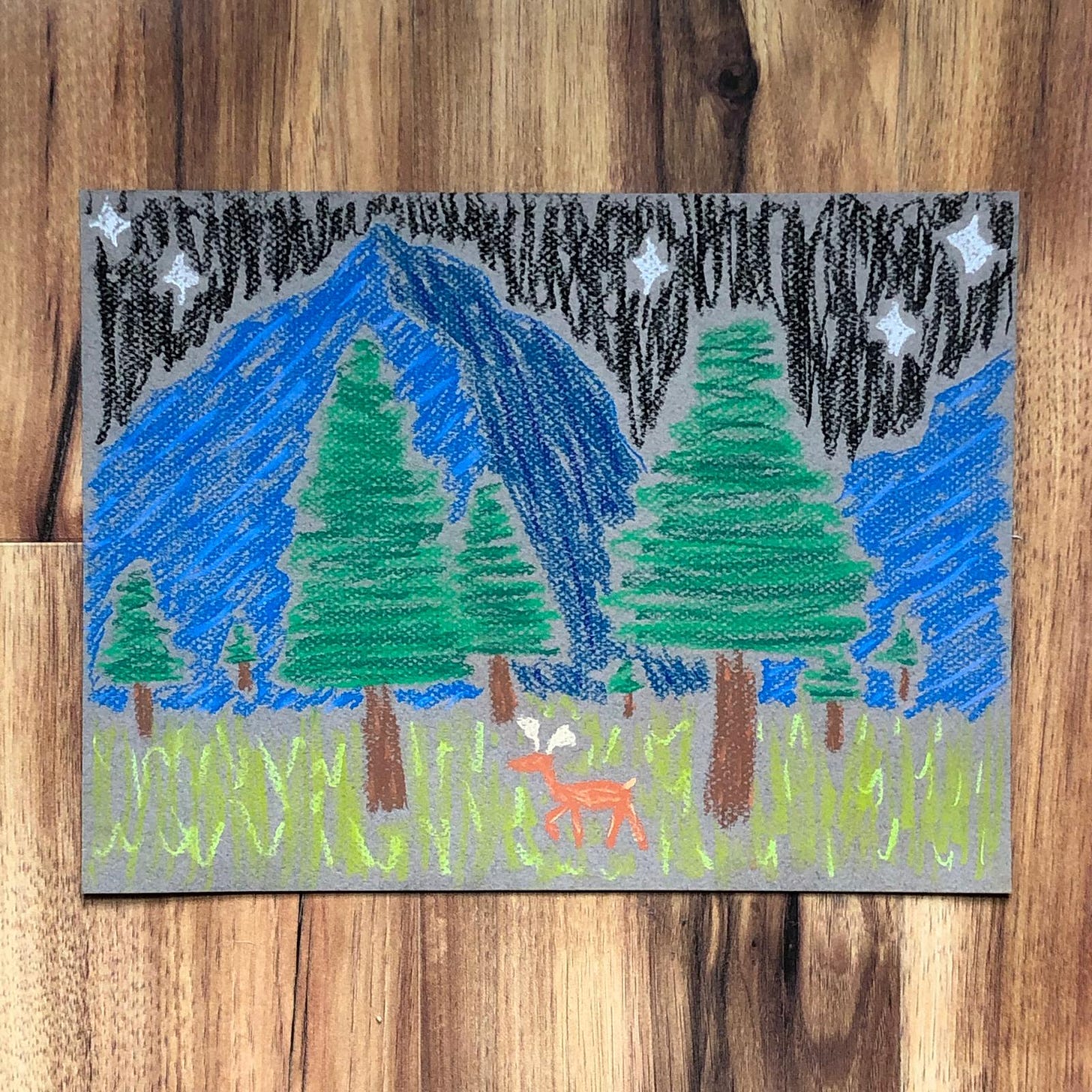 Image Description: Emory’s pastel illustration of an orange deer in the green grass, pine trees around it, blue mountains in the background, and a night sky overhead.