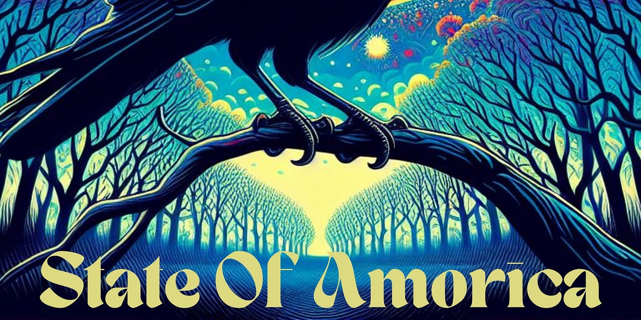 In a State of Amorica