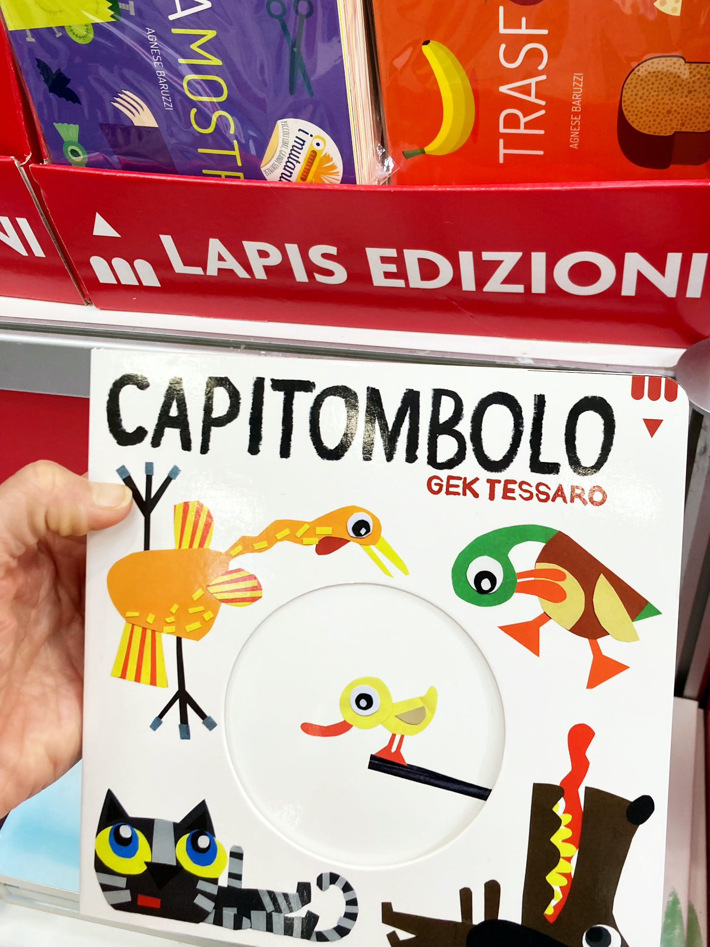 A photograph of a hand holding a copy of Gek Tessaro's picture book 'Capitombolo' published by Lapis Edizioni.