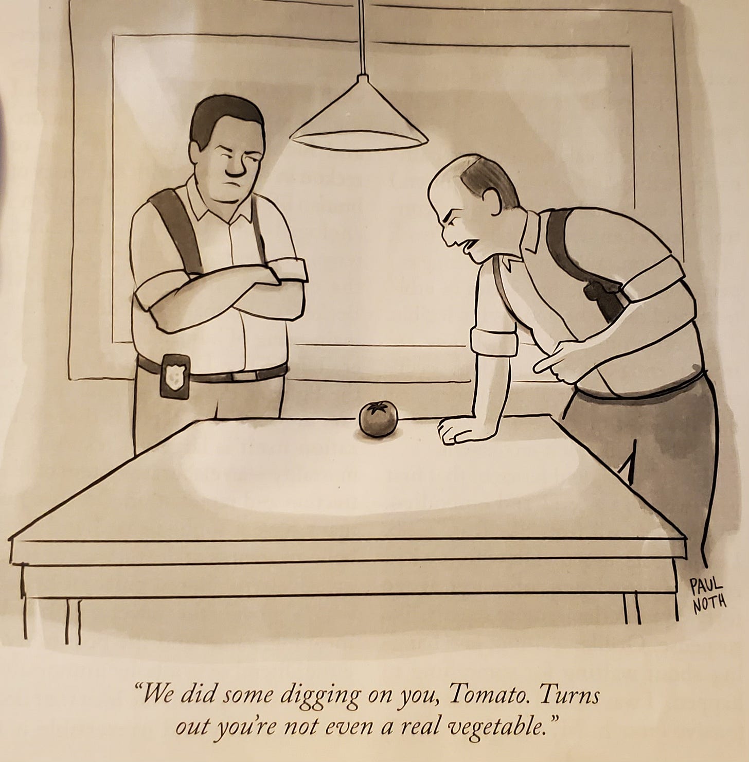 2 detectives glare at a tomato on a table. One says, “We did some digging on you, Tomato. Turns out you’re not even a real vegetable.”