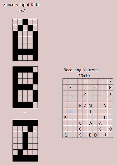Visual Image to Winning Neuron