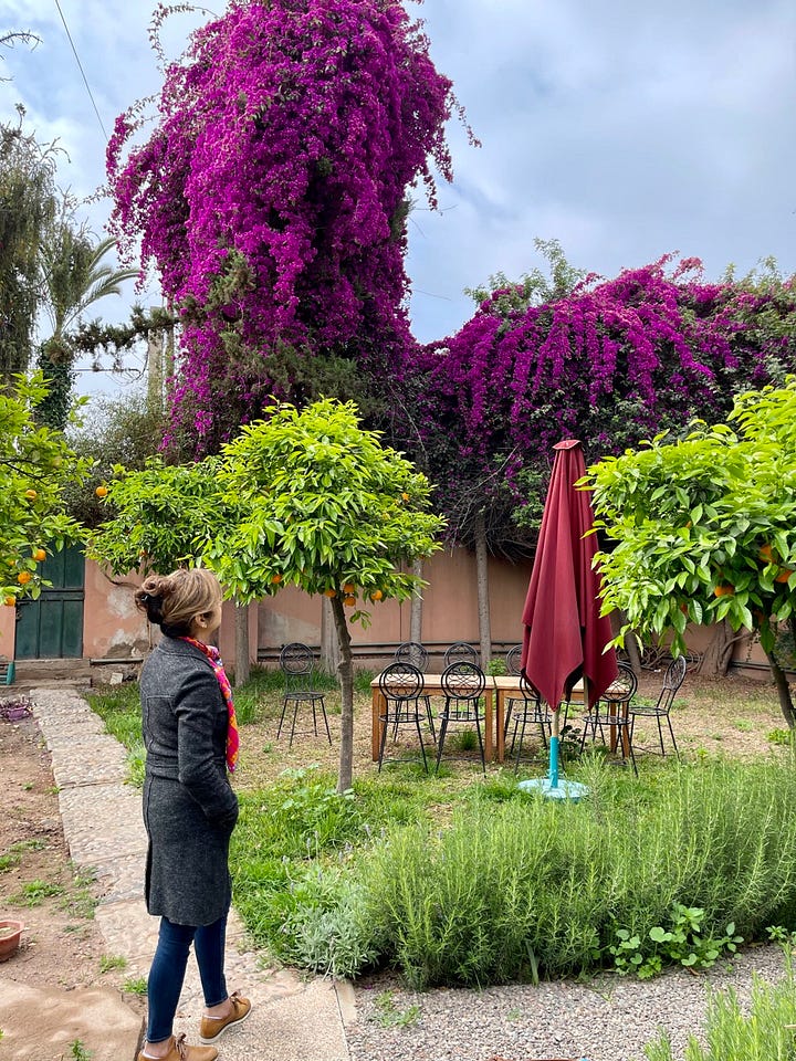 amal-training-centre-marrakech
