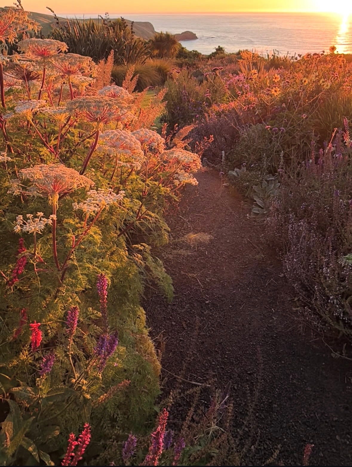 qotd, rumi, sahil bloom, jay shetty, on purpose, feel better, inspirational quotes, book recs, best books, goodreads, humor, iamthirtyaf, illustrations, mental wellness, power of positive thinking, universe, gratitude, friends, positivity, confidence, nice news, art, line drawings, linear theory, inspirational quotes, new yorker, poetry, universe, life advice, career, success, positive news, c magazine, ad magazine  Nature, wildlife photography, c magazine, California, flaunt magazine, fishermans bay garden, new zealand