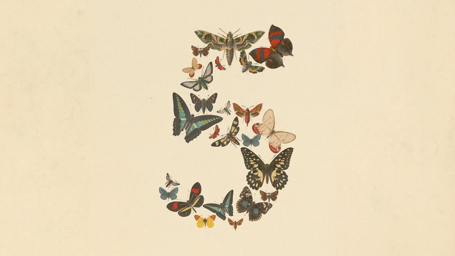 The number five composed of several butterflies The number five composed of several butterflies