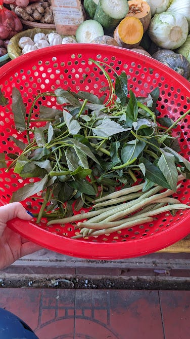 shopping at the market