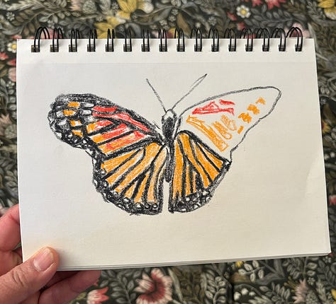 Various sketches in colored pencil, gouache, watercolor, neocolor II pastel