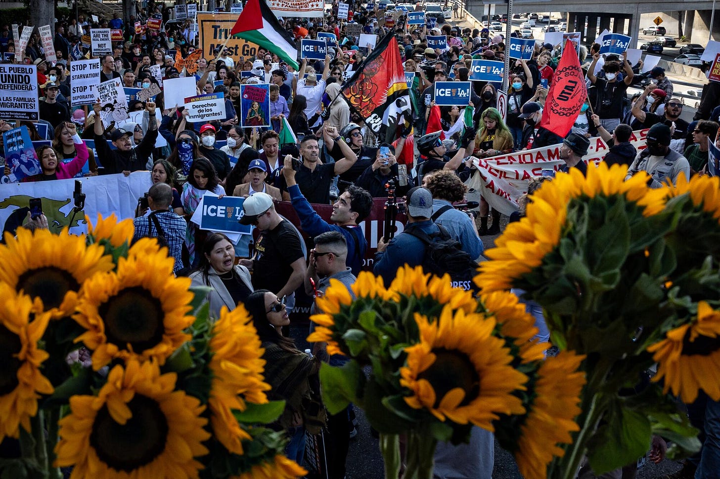 Demonstrators protest outside the Edward R. Roybal Federal Building and the Metropolitan Detention Center.