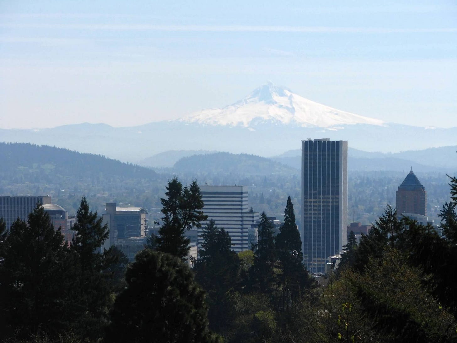 city scape surrounded by forest with a snowy mountain in the background