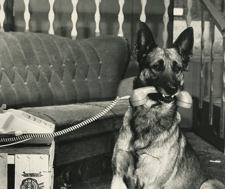 Ben Vautier (Total Art Matchbox, 1965, Fluxus) | Hugo Ball – Karawane (1916, Dada) | Wim T. Schippers - Going to the dogs (play with dogs as actors, 1986) | Marcel Duchamp - Fountain (1917, Dada)