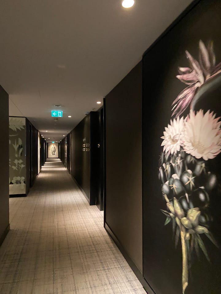Hotel floor hallway & hotel room entryway