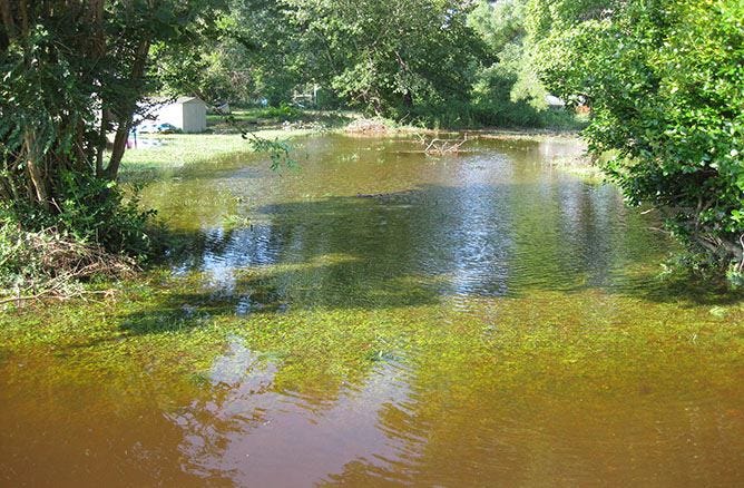 Drainage Issues Photo 1