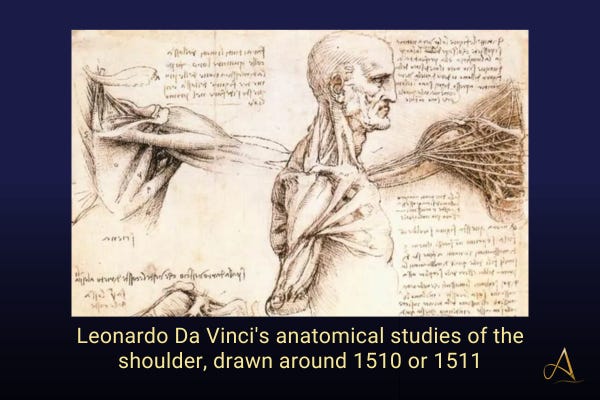 Embracing the Unknown in Life and Art with Leonardo da Vinci