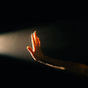 توَّاقة's avatar