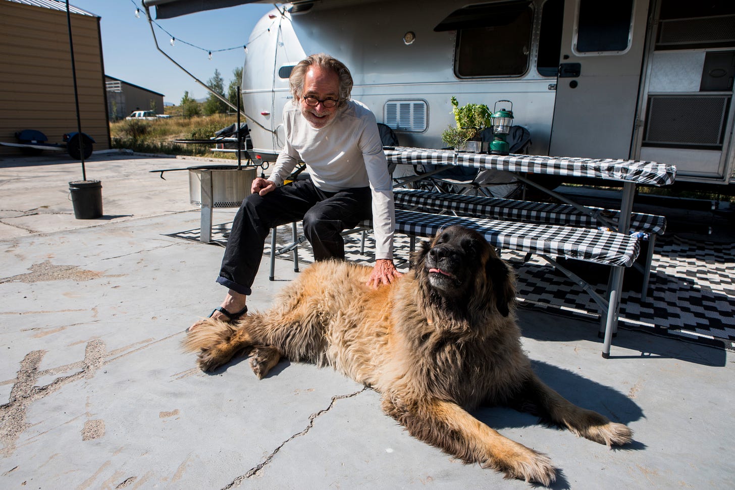 A man in a white long sleeved t-shirt pets a large brown dog A man in a white long sleeved t-shirt pets a large brown dog