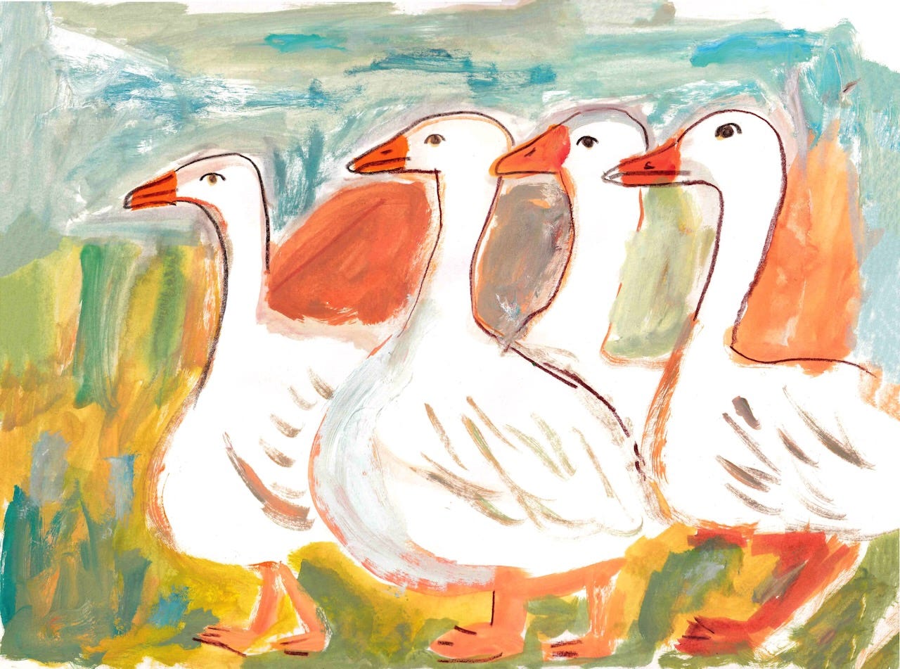 duck painting by Beth Spencer duck painting by Beth Spencer