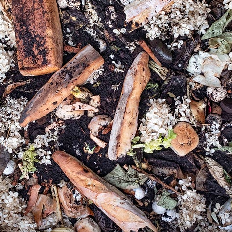 Three square photographs of bread in a compost pile.